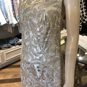 Silver lace shift dress Lyman designs. Soft vegan metallic silver stunning